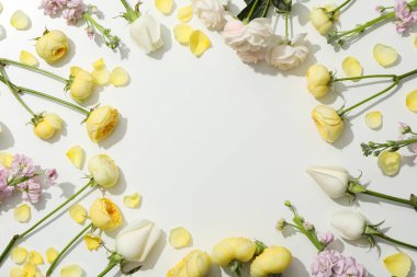 Concept of greeting, 8 march, Women's day, space for text