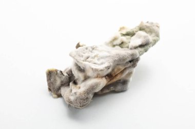 Food with mold on white background, close up