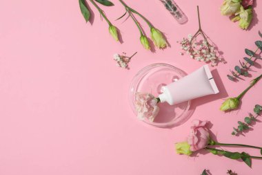 Concept of cosmetic research and organic skin care products, space for text