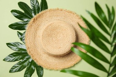 Concept of summertime, leaves, summer and nature concept