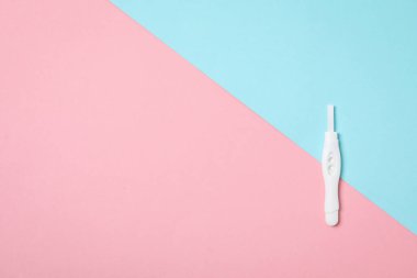 Concept of pregnancy and maternity, space for text