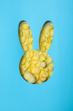 Concept of Easter, Happy Easter holidays concept