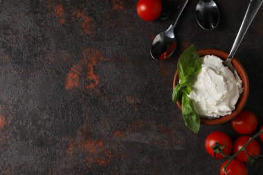 Concept of tasty dairy product - ricotta cheese, space for text