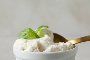 Concept of tasty dairy product - ricotta cheese, space for text