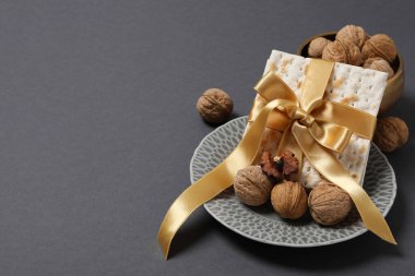 Concept of jewish Passover holiday, space for text