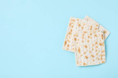 Concept of jewish Passover holiday, space for text