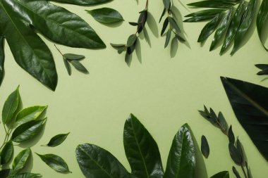 Concept of summertime, leaves, summer and nature concept