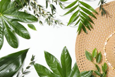 Concept of summertime, leaves, summer and nature concept