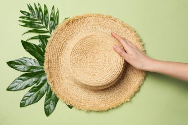 Concept of summertime, leaves, summer and nature concept