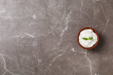 Concept of tasty dairy product - ricotta cheese, space for text