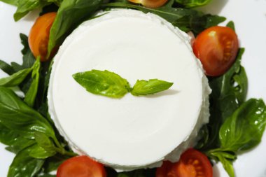 Concept of tasty dairy product - ricotta cheese