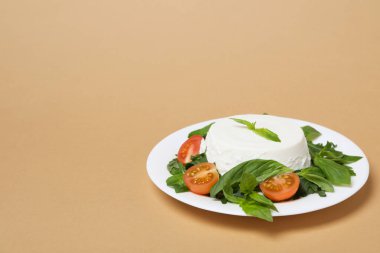 Concept of tasty dairy product - ricotta cheese, space for text