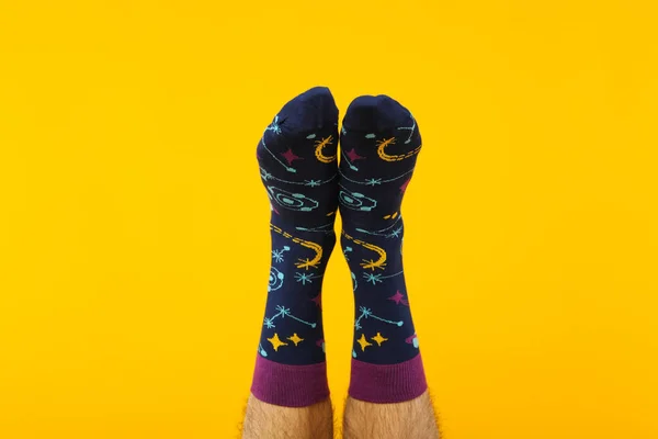 Bacak Için Kıyafet Kavramı Çorap Erkek Bacağında Çorap — Stok fotoğraf