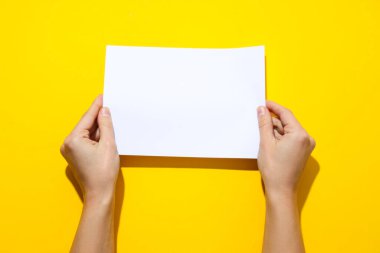 Kadın elleri sarı arka planda boş kağıt tutar