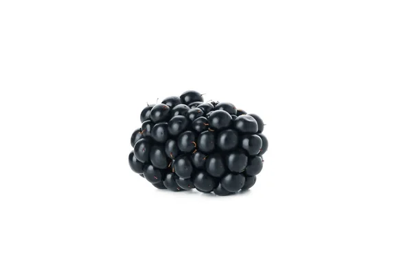 在白色背景上分离的新鲜单颗黑莓 — 图库照片