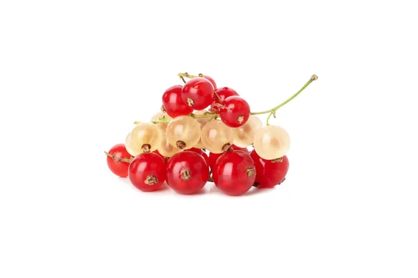 White Currant Red Currant Isolated White Background — Zdjęcie stockowe