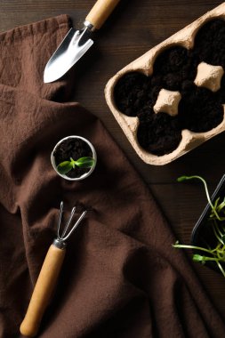 Yumurta kutusunda bitki yetiştirmek, bitki yetiştirmek için yaratıcı bir yöntem.