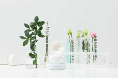 Concept of cosmetic research and organic skin care products
