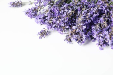 Çiçekler, lavanta çiçekleri, metin için boşluk kavramı