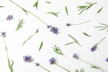 Çiçeklerle, güzel lavanta çiçekleriyle dolu konsept.