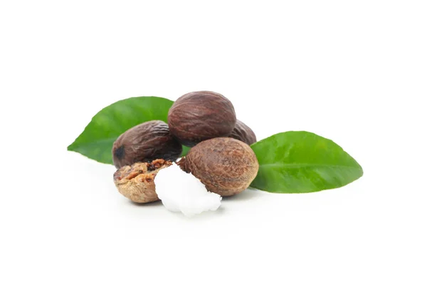 Shea Nuts Making Shea Butter Isolated White Background — Stok fotoğraf
