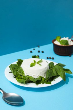 Concept of tasty dairy product - ricotta cheese, space for text