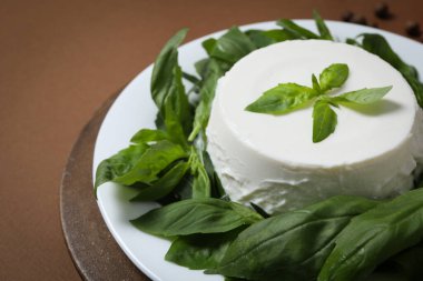 Concept of tasty dairy product - ricotta cheese