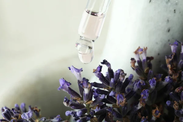 stock image Body care and skin care cosmetic - lavender oil