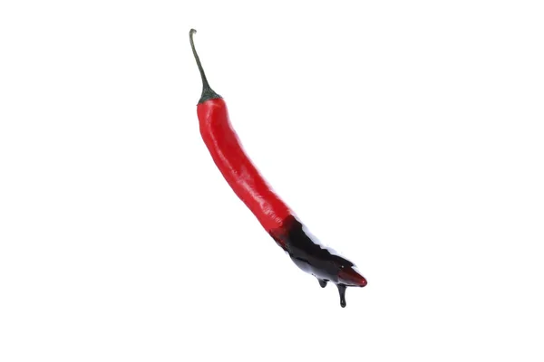 Chili Pepper Melted Chocolate Isolated White Background — 스톡 사진