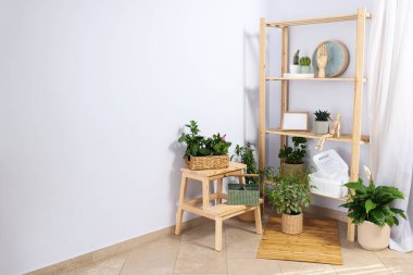 Samimi bir hobi - evde bitki yetiştirmek.