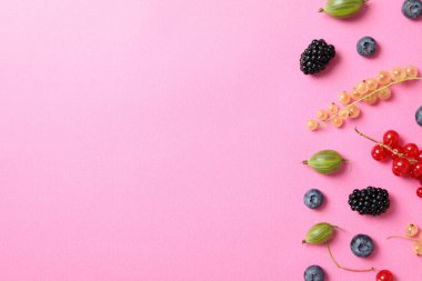 Concept of fresh food, berries, space for text