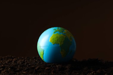 Dünya Günü, Çevre Konsepti ve Çevre Konsepti