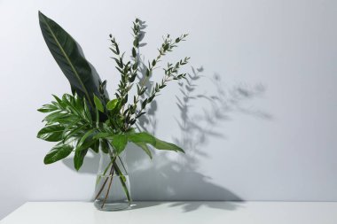 Concept of summertime, leaves, summer and nature concept