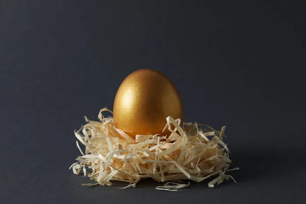 stock image Pension rewards, returns and investment funding concepts, golden egg