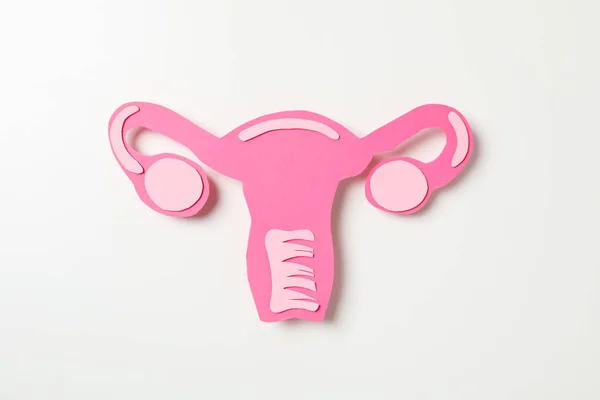 Women\'s health and women\'s healthcare concept with uterus