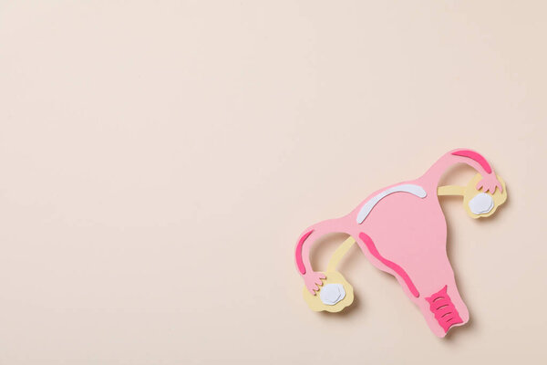 Women's health and women's healthcare concept with uterus