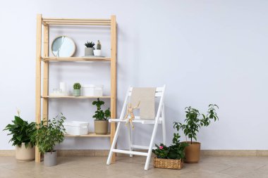 Samimi bir hobi - evde bitki yetiştirmek.