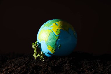 Dünya Günü, Çevre Konsepti ve Çevre Konsepti