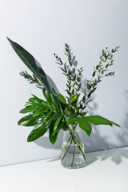 Concept of summertime, leaves, summer and nature concept