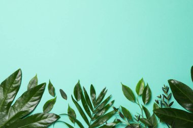 Concept of summertime, leaves, summer and nature concept