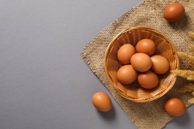 Concept of fresh and natural farm product - eggs, space for text