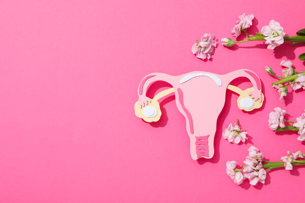 Women's health and women's healthcare concept with uterus