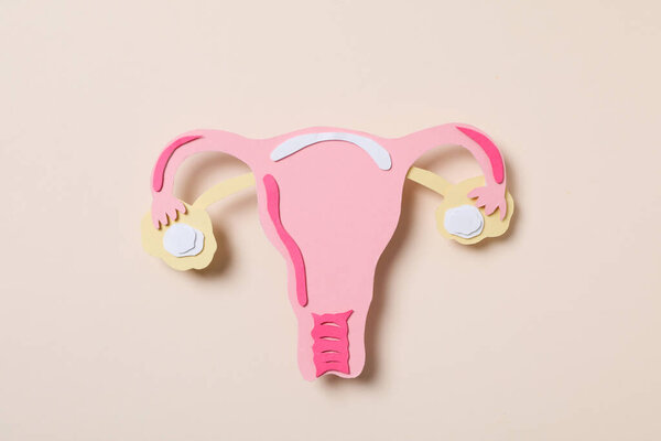 Women's health and women's healthcare concept with uterus