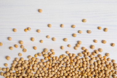 Beyaz arkaplanda soya tohumları, üst görünüm
