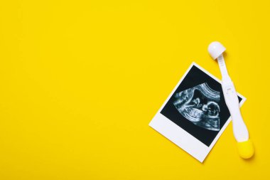 Concept of pregnancy and maternity, space for text