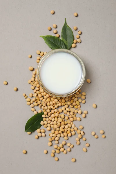 Susu Kedelai Dan Kedelai Komposisi Untuk Konsep Makanan Sehat — Stok Foto
