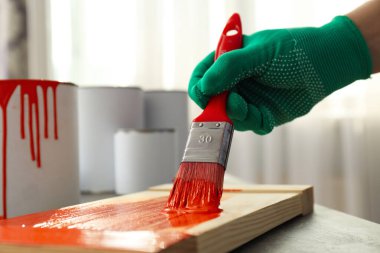 Eldivenler, fırçayla boyama tahtası, kapat.