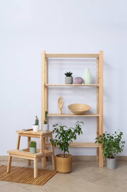 Samimi bir hobi - evde bitki yetiştirmek.