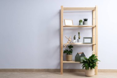 Samimi bir hobi - evde bitki yetiştirmek.