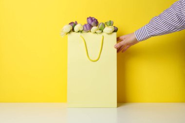 Concept of spring shopping and season sale